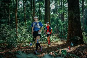 BIB: 
                            <button type="button" onclick="openModal(26132437)" class="btn btn-primary btn-sm float-right btn-popup" data-toggle="modal" data-target=".modal-high-quality">
                        <i class="fas fa-shopping-cart"></i> Add to Cart
                    </button>
                                            <button type="button" onclick="isThisMe(26132437, true)" class="btn btn-success btn-sm float-right btn-popup btn-isme hidden" data-toggle="tooltip" data-placement="bottom" title="นี่คือรูปของคุณใช่ไหม คลิกที่นี่เพื่อเอาเข้าอัลบั้ม">
                        <i class="fas fa-plus"></i> Add to album
                    </button>
                    <button type="button" onclick="isThisMe(26132437, false)" class="btn btn-warning btn-sm float-right btn-popup btn-isnotme hidden">
                        <i class="fas fa-ban"></i> Remove from album
                    </button>